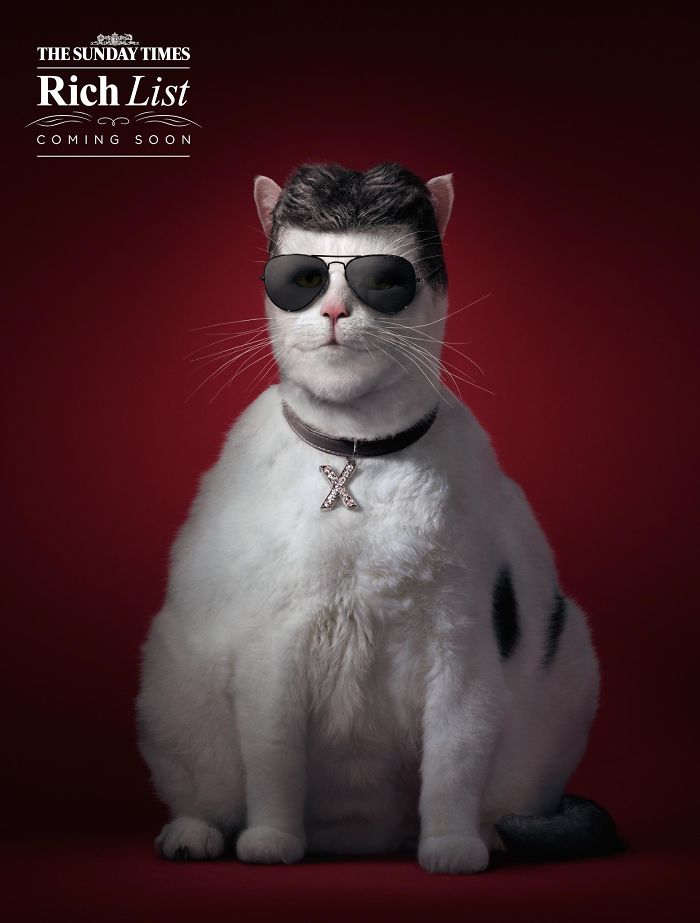 49 Ads Using Cats In A Purrrfect Way