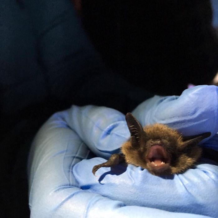 Tried To Take A Handsome Portrait. He Scream.