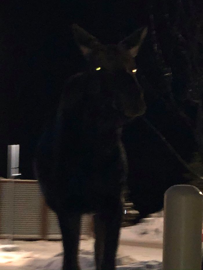 Didn’t Realize The Flash Was On...