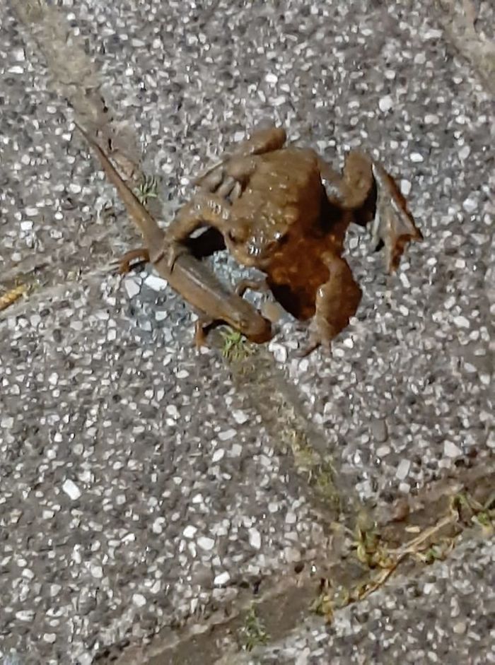 Grab Somebody Sexy Tell Em Hey