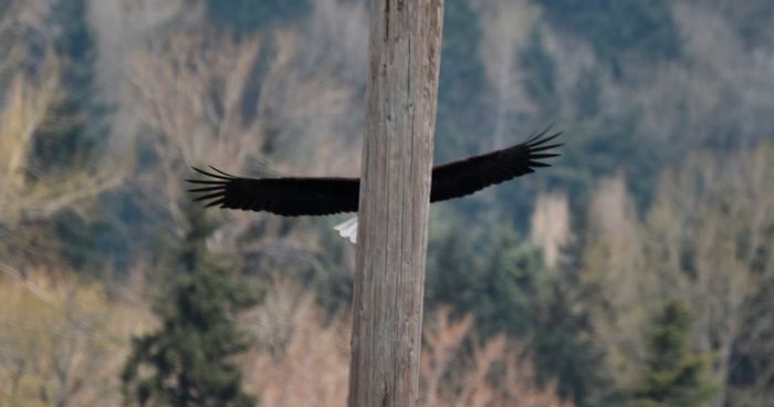 Este grupo de Facebook está dedicado a fotos cutres de fauna, y son tan malas que tienes que reírte