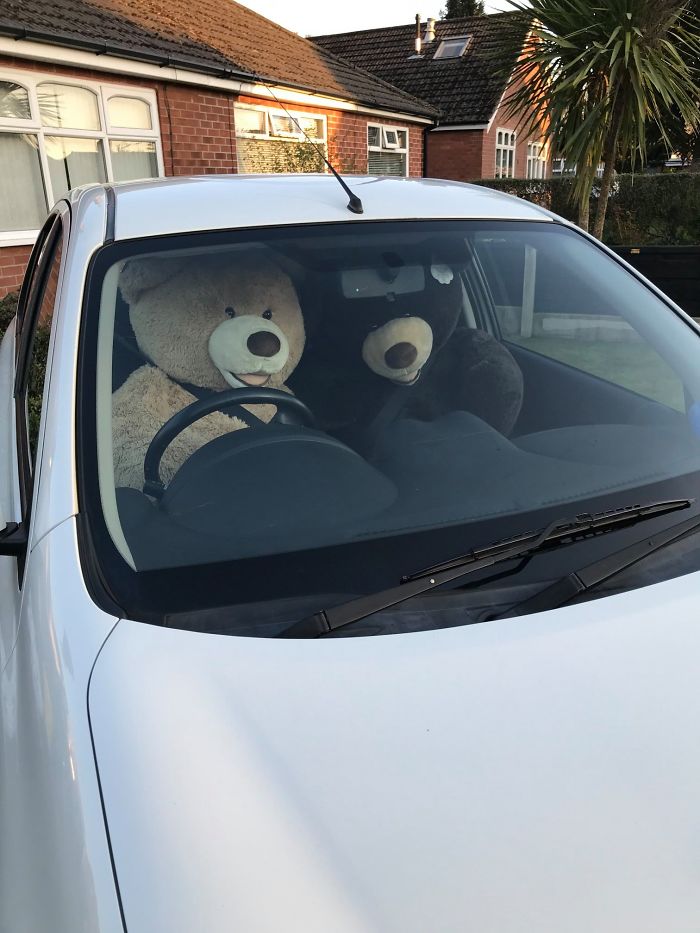 Day 1 Toilet Roll Shortage Apparent So Drove To The Local Woods