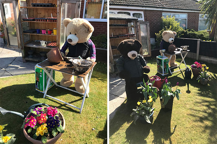 Day 14 Sunny Days For Gardening