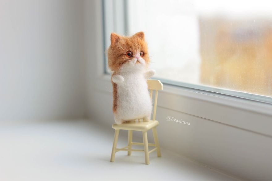 Russian Artist Produces Kittens Made Of Wool So Cute You Will Want One