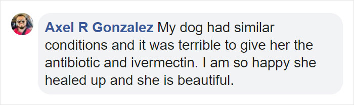 “She Stunk, She Couldn’t See, And She Bled All Over The Couch”: Kind People Save A Dying Dog And Her Transformation Is Incredible “She Stunk, She Couldn’t See, And She Bled All Over The Couch”: Kind People Save A Dying Dog And Her Transformation Is Incredible