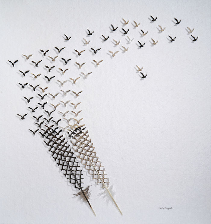 Chris Maynard At Featherfolio Returns With More Feather Carvings