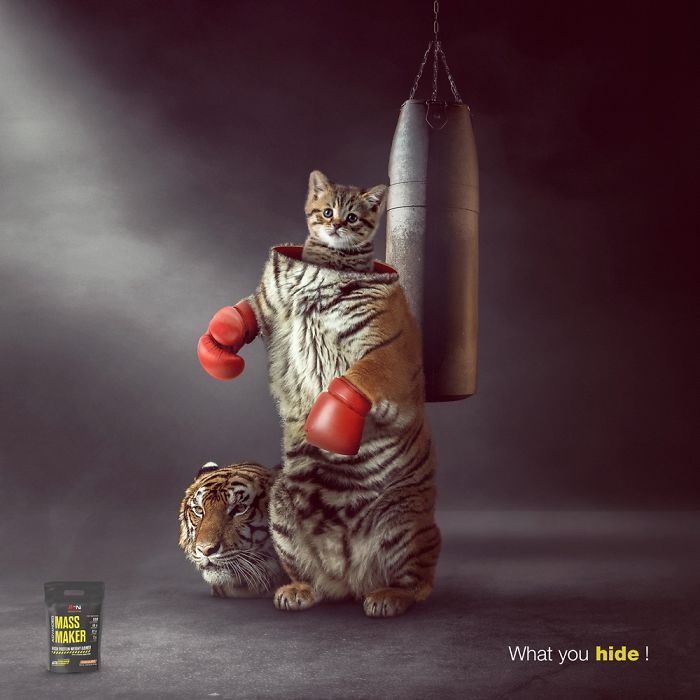 49 Ads Using Cats In A Purrrfect Way