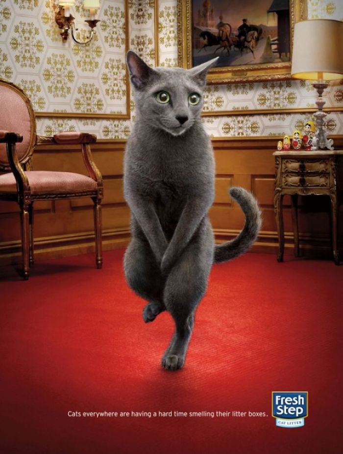 49 Ads Using Cats In A Purrrfect Way