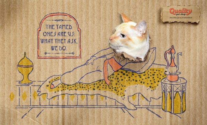 49 Ads Using Cats In A Purrrfect Way