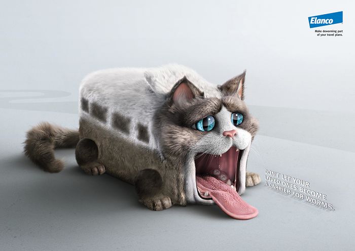 49 Ads Using Cats In A Purrrfect Way