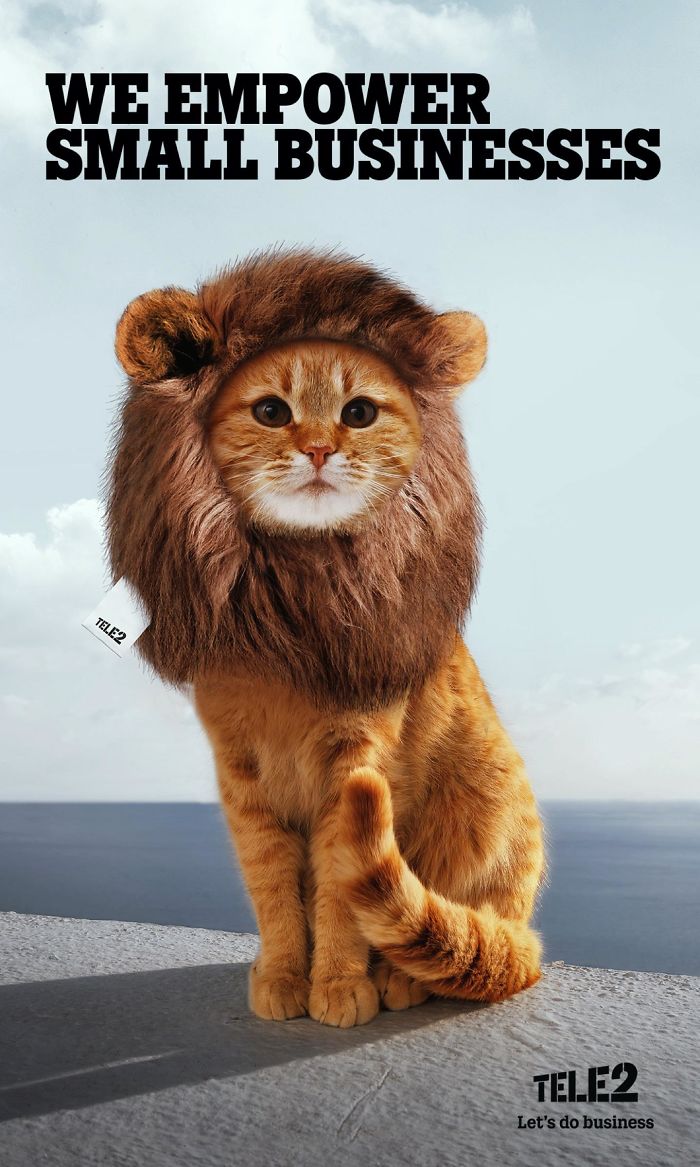 49 Ads Using Cats In A Purrrfect Way