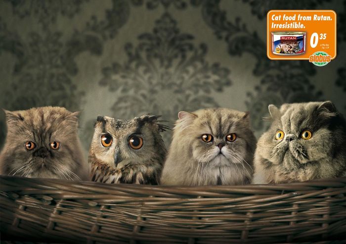 49 Ads Using Cats In A Purrrfect Way