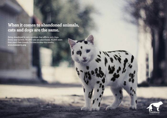49 Ads Using Cats In A Purrrfect Way