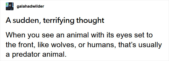 Guy Asks Why Dragons Have Eyes On The Sides Of Their Heads If They Are Predators, A Tumblr User Gives A Scientific Explanation Guy Asks Why Dragons Have Eyes On The Sides Of Their Heads If They Are Predators, A Tumblr User Gives A Scientific Explanation