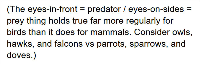 Guy Asks Why Dragons Have Eyes On The Sides Of Their Heads If They Are Predators, A Tumblr User Gives A Scientific Explanation Guy Asks Why Dragons Have Eyes On The Sides Of Their Heads If They Are Predators, A Tumblr User Gives A Scientific Explanation