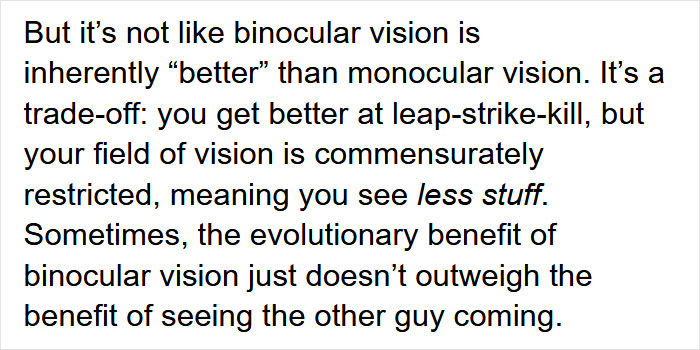 Guy Asks Why Dragons Have Eyes On The Sides Of Their Heads If They Are Predators, A Tumblr User Gives A Scientific Explanation Guy Asks Why Dragons Have Eyes On The Sides Of Their Heads If They Are Predators, A Tumblr User Gives A Scientific Explanation