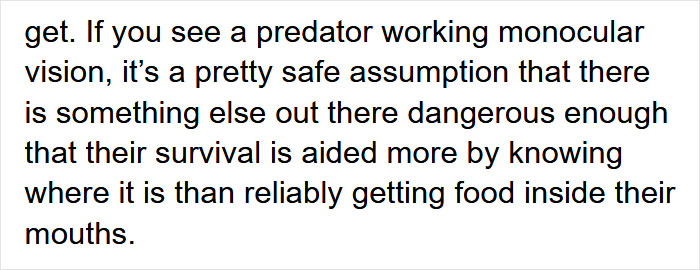 Guy Asks Why Dragons Have Eyes On The Sides Of Their Heads If They Are Predators, A Tumblr User Gives A Scientific Explanation Guy Asks Why Dragons Have Eyes On The Sides Of Their Heads If They Are Predators, A Tumblr User Gives A Scientific Explanation