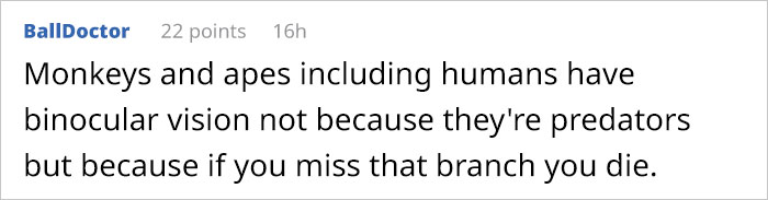 Guy Asks Why Dragons Have Eyes On The Sides Of Their Heads If They Are Predators, A Tumblr User Gives A Scientific Explanation Guy Asks Why Dragons Have Eyes On The Sides Of Their Heads If They Are Predators, A Tumblr User Gives A Scientific Explanation