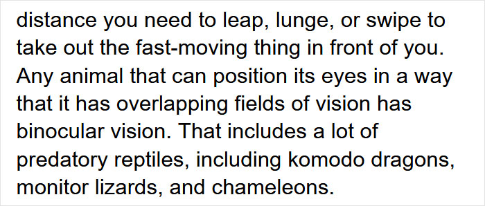 Guy Asks Why Dragons Have Eyes On The Sides Of Their Heads If They Are Predators, A Tumblr User Gives A Scientific Explanation Guy Asks Why Dragons Have Eyes On The Sides Of Their Heads If They Are Predators, A Tumblr User Gives A Scientific Explanation