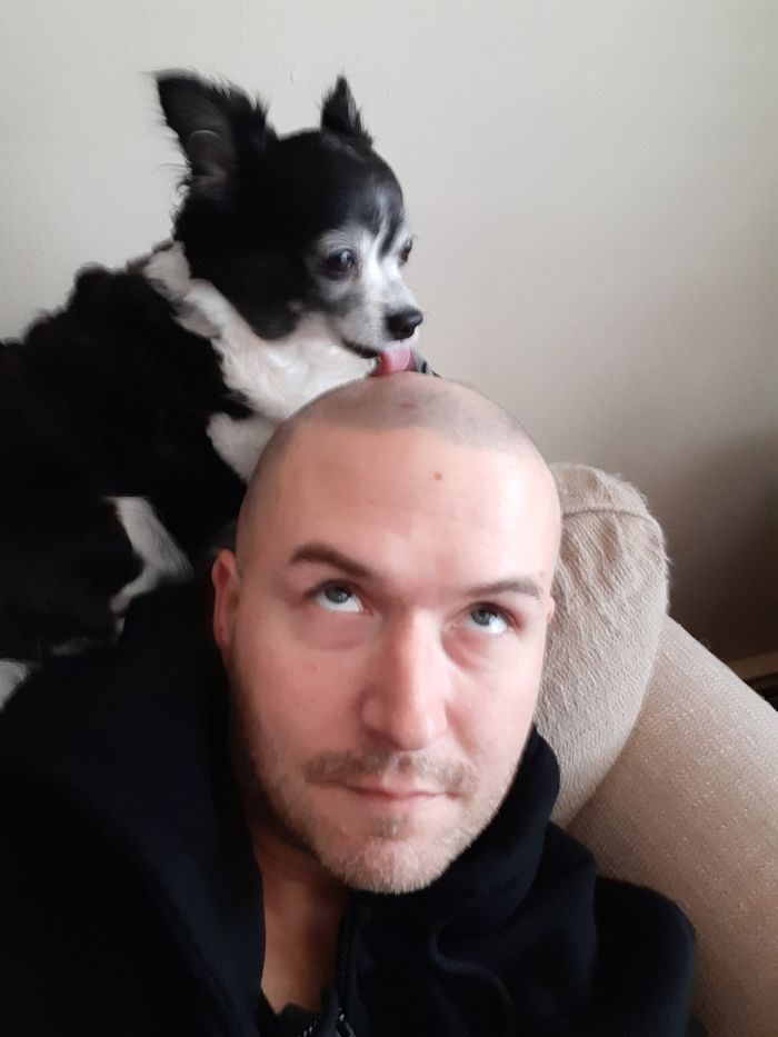 Someone Says To Refer To Your Pet As 'The Drunk Guy At The Back Of The Bar' And People Deliver (30 Posts)