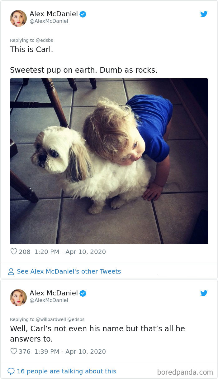 Dumbest-Dogs-Funny-Fails