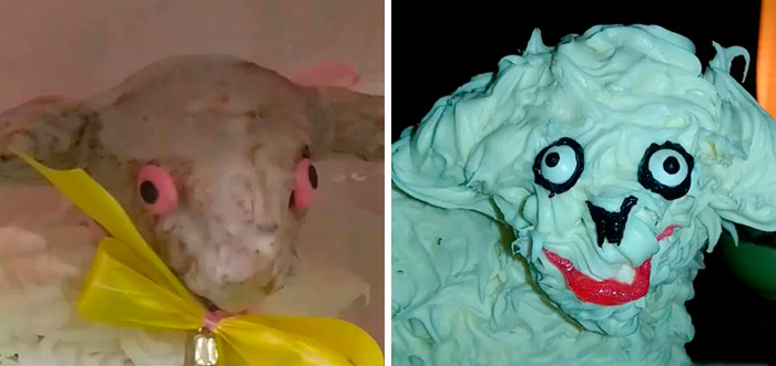 Woman Buys Ugly Lamb Cake And Decides To Fix It, Ruins Easter In The Process