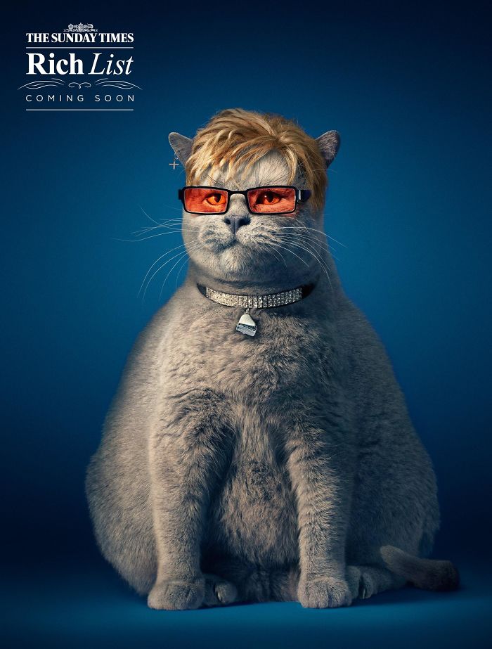 49 Ads Using Cats In A Purrrfect Way