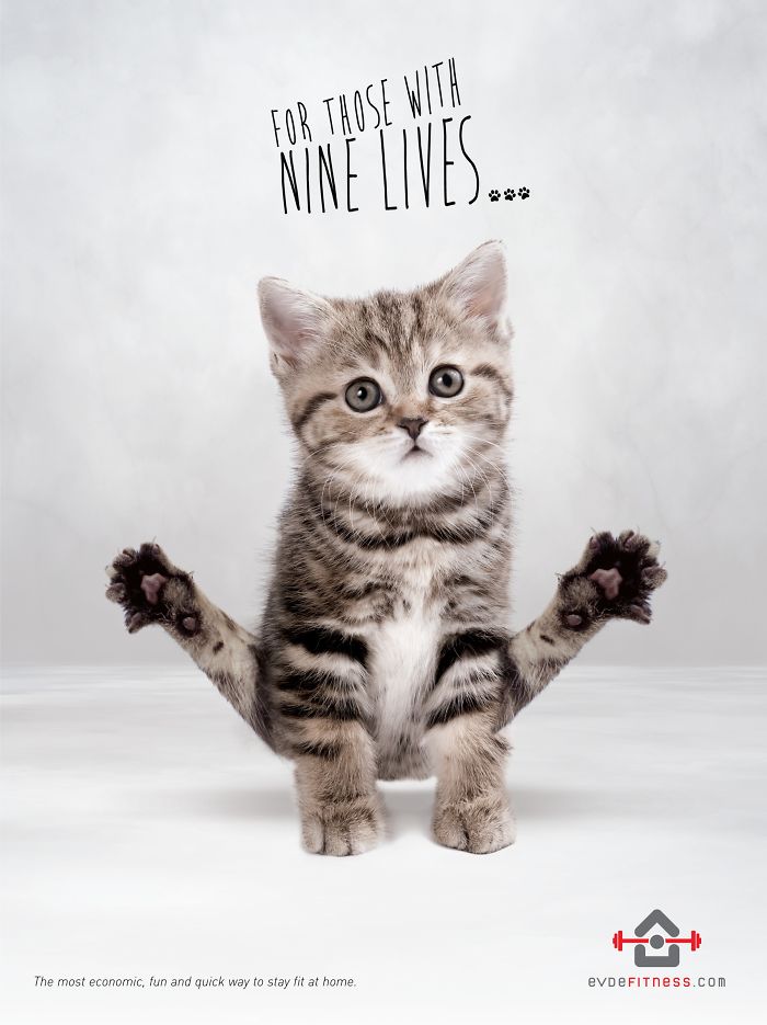 49 Ads Using Cats In A Purrrfect Way