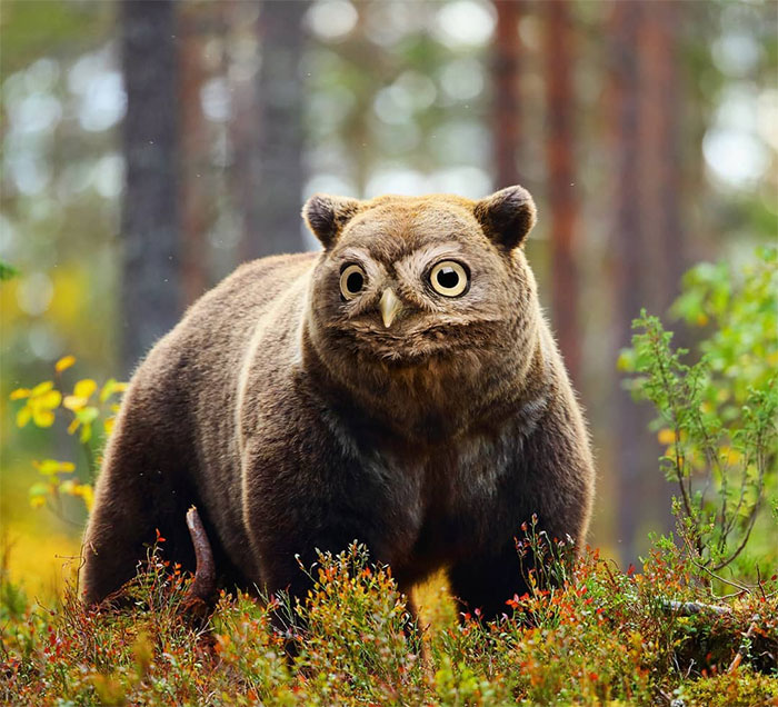 Artist Creates The Stupidest Animal Hybrids He Can Think Of (26 New Pics)