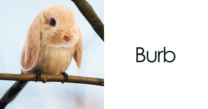 Artist Creates The Stupidest Animal Hybrids He Can Think Of (26 New Pics)