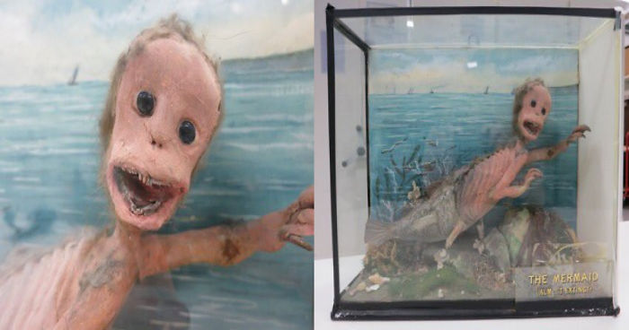 Museums Challenge Each Other In A Twitter Battle To Find World’s Creepiest Exhibit