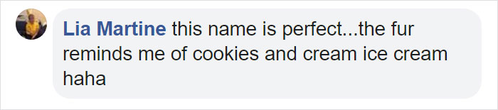 Meet This Tiny Oreo Cloud Who Will Eventually Become A Giant 85-Pound Floof (12 Pics)