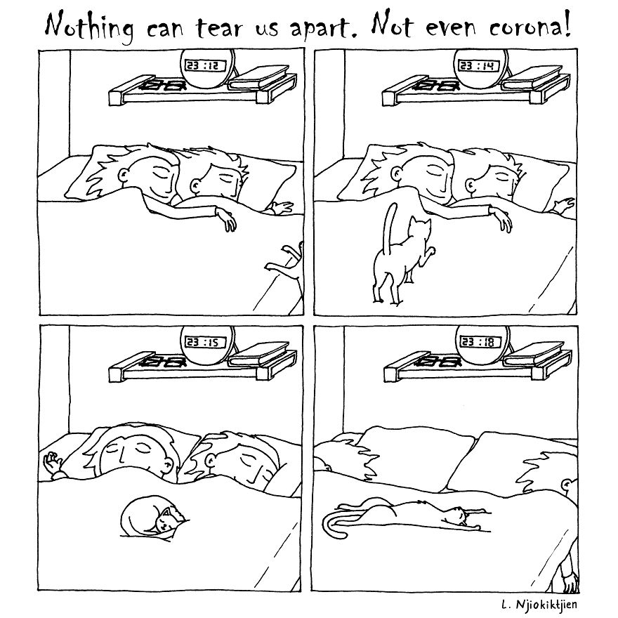 Here Are My 10 New Comics About My Introverted Life With My Extroverted Wife During Lockdown