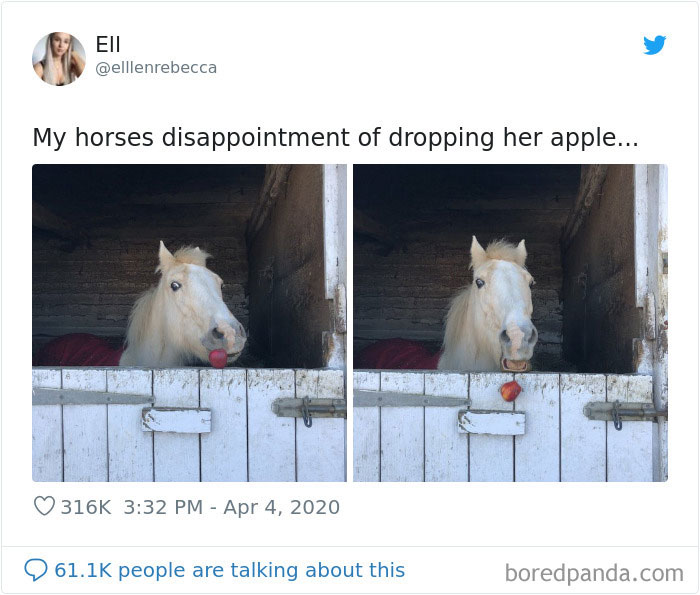 Funny-British-Quarantine-Tweets