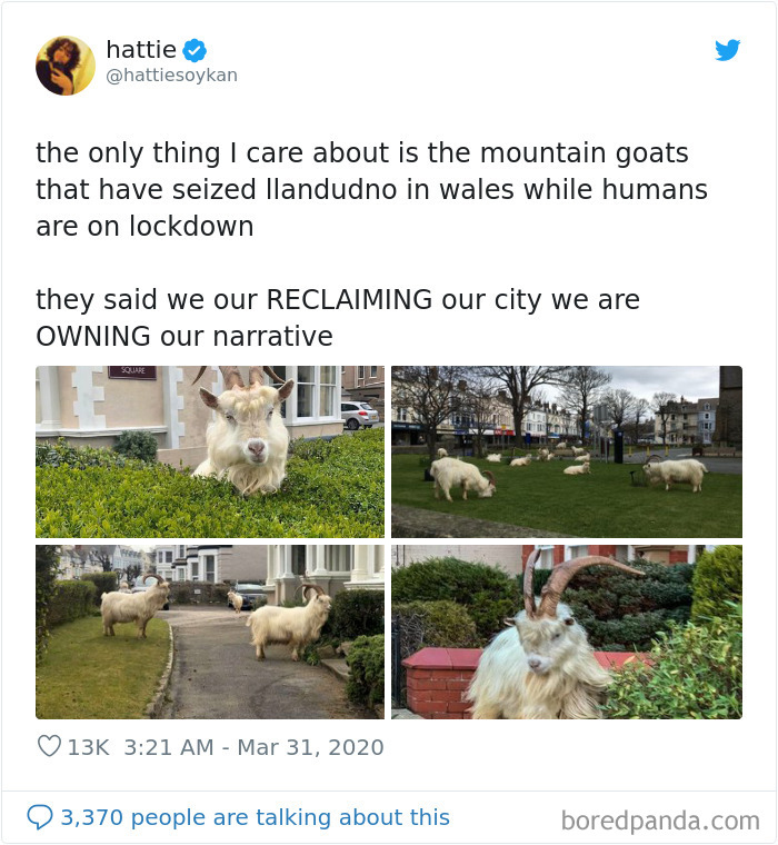 Funny-British-Quarantine-Tweets