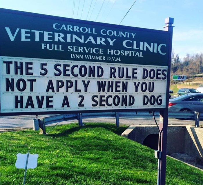 Funny-Carroll-County-Veterinary-Clinic-Signs