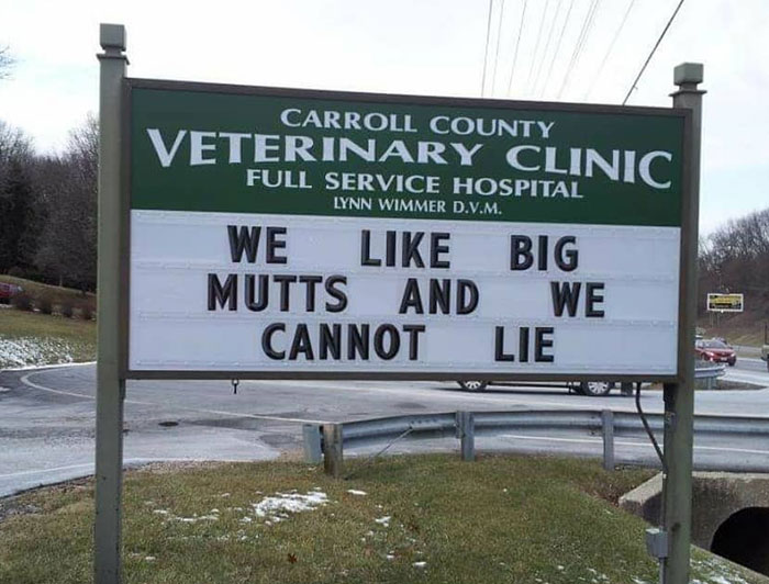 Funny-Carroll-County-Veterinary-Clinic-Signs