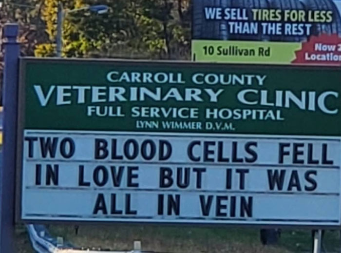 Funny-Carroll-County-Veterinary-Clinic-Signs