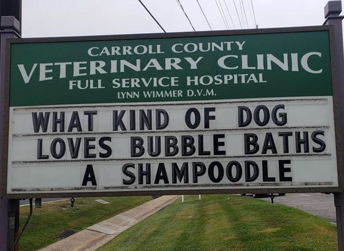 Funny-Carroll-County-Veterinary-Clinic-Signs