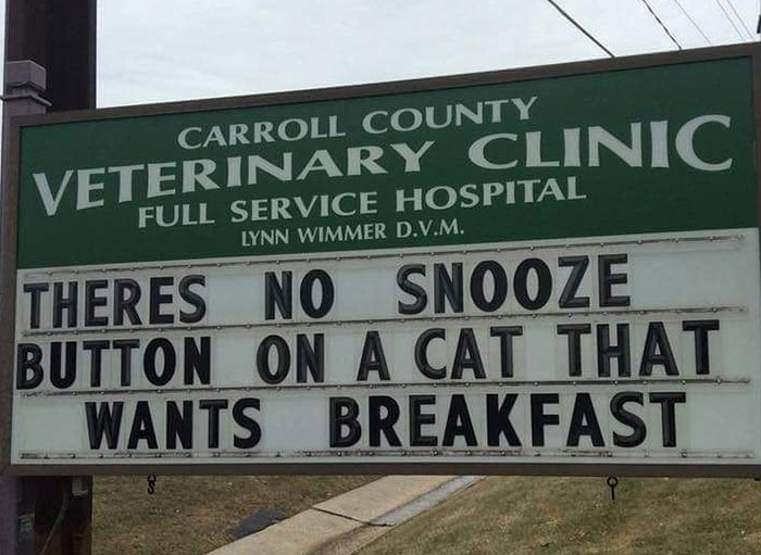Funny-Carroll-County-Veterinary-Clinic-Signs