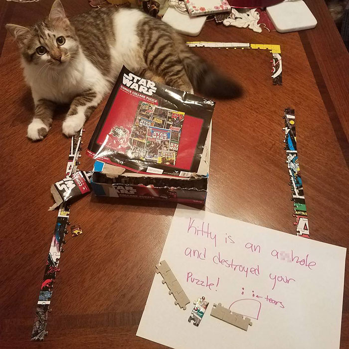 When The Criminal Returns To The Scene Of The Crime... The Note From My Wife Sums It Up