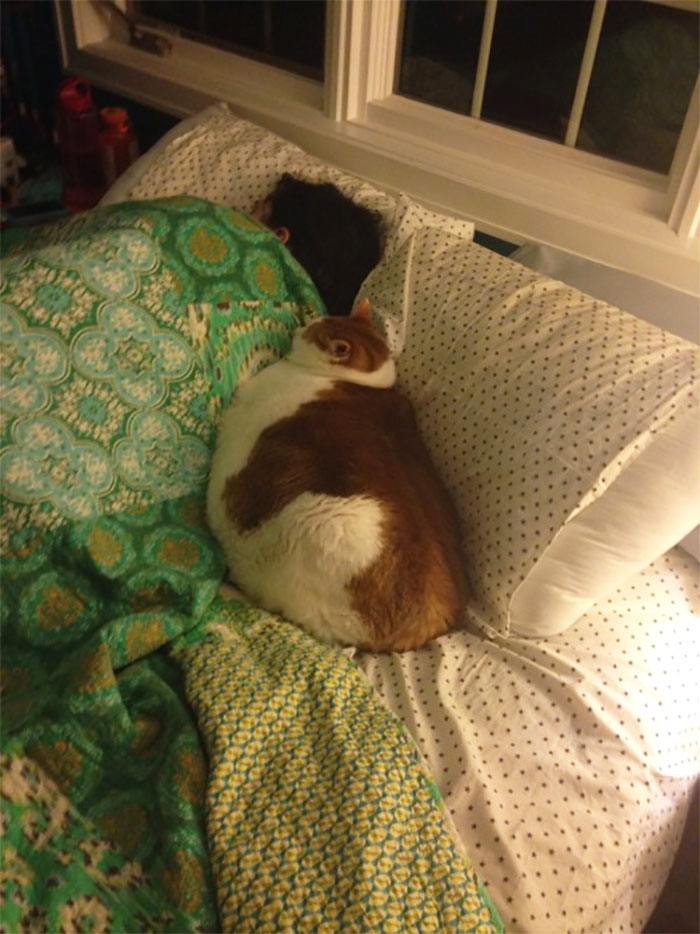 I Walk Into The Bedroom And I See Kattie Being The Little Spoon. There Is No Room For Me