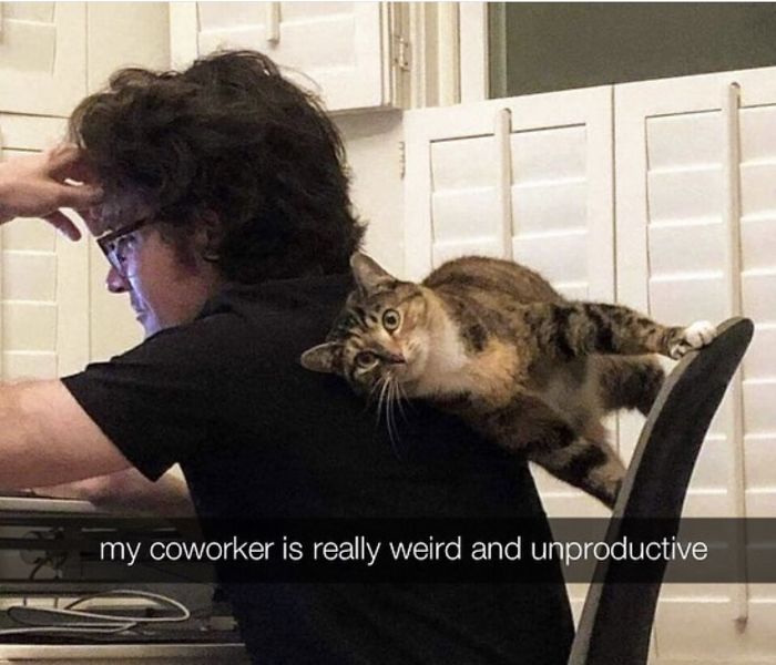 Funny-Coronavirus-Jokes