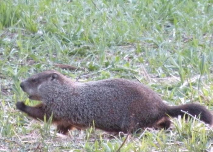 He’s Angry About Something