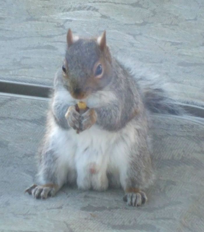 I Was Going For Cute, Then He Turned Around