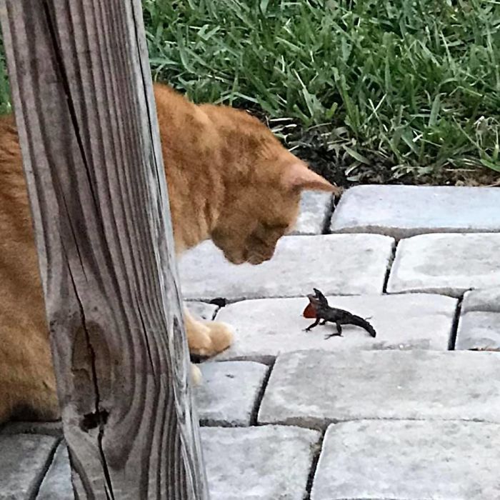 No Good Deed Goes Unpunished