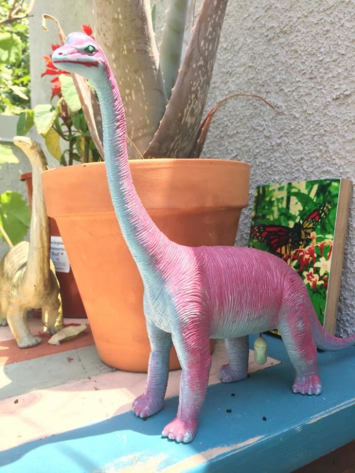 Interesting Place To Coccoon....