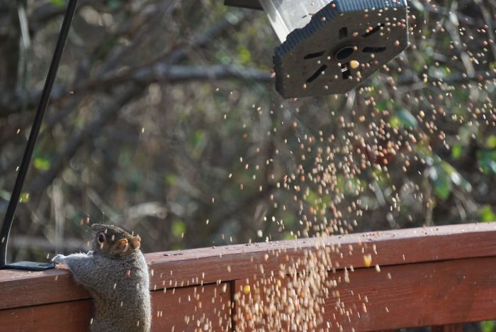 We All Have Days Like This