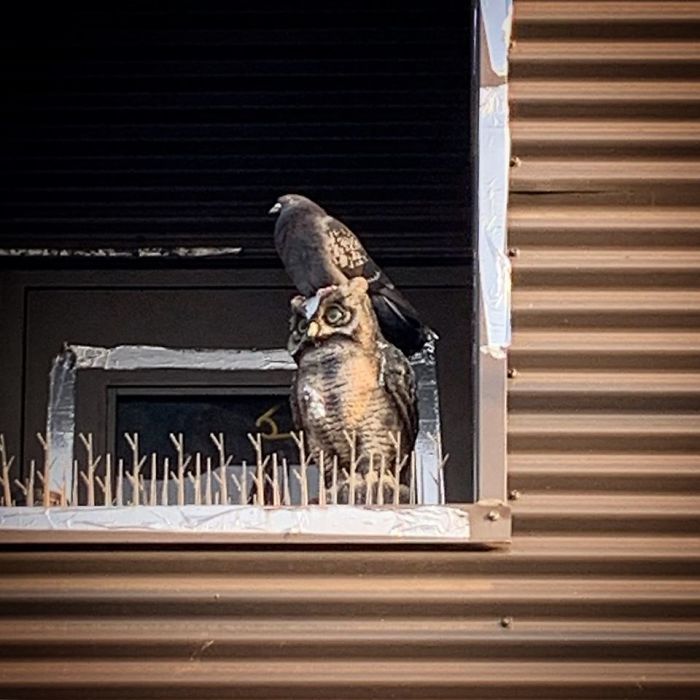 Ineffective Means Of Deterrence