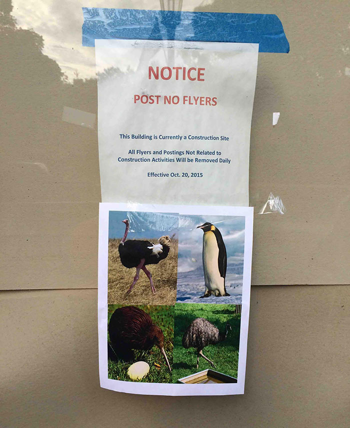 Some People Just Want To Watch The World Burn